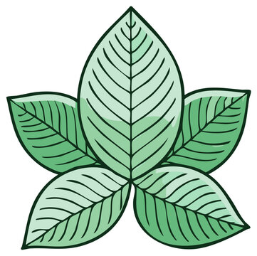 Stylized cartoon illustration of green kratom or mitragyna speciosa leaves
