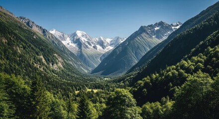 Lush green valley leads to snow-capped mountains under a bright blue sky