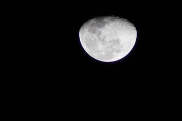 Fototapeta premium Beautifull moon