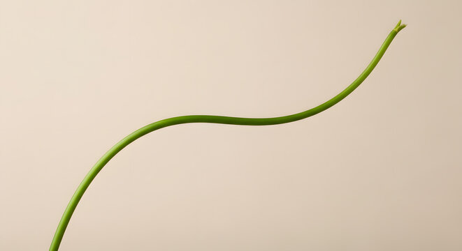 Isolated green plant stem on beige background for botanical nature and minimalist design concepts theme - Powered by Adobe