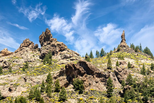 Roque del Nublo on Gran Canaria &ndash; iconic rock formation in Parque Rural del Nublo surrounded by pine forest and spring bloom