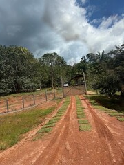 Fototapeta premium The road in countryside 