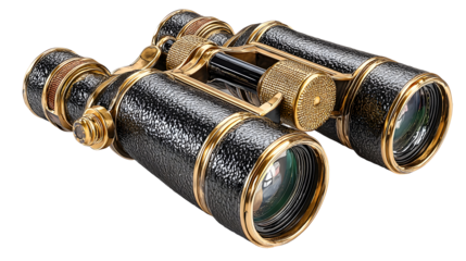 Luxurious vintage black and gold binoculars with textured finish