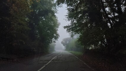 fog road lights car in autumn travel