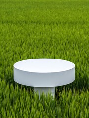 White circular podium on lush green grass field