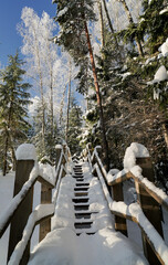 Fototapeta premium snowy wooden stairs in forest