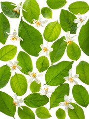 Fresh green leaves and small white flowers pattern