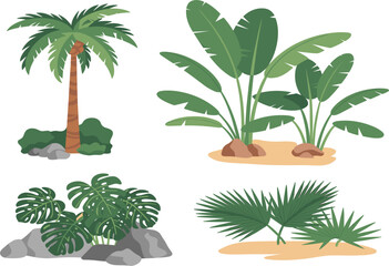 Obraz premium Vector Tropical Plant Set, Palm Tree, Monstera, Banana Leaves, Lush Green Foliage, and Exotic Nature Collection