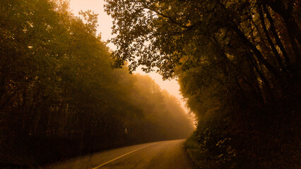 fog road lights car in autumn travel