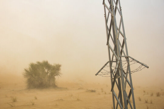 View of a sandstorm whipping across the arid landscape, obscuring a lonely bush and metal pylon under a hazy sky, Margham, Sharjah, United Arab Emirates.