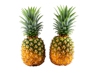 Two whole pineapples with green leafy tops