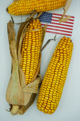 Corn cobs, and Flag of United States of America. White background.