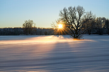 snowy field with texture at sunset