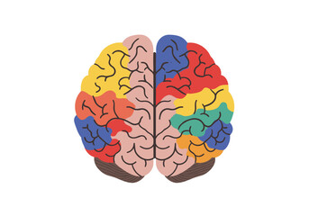 Fototapeta premium A vibrant multicolored human brain shown from the side with distinct colorful regions in flat vector style, perfect for psychology, neuroscience, education, or mental health concepts.