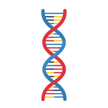 A vibrant twisting DNA double helix strand with red, blue, yellow, and green base pairs in glossy flat vector style, ideal for genetics, biology, science education, or medical research illustrations.