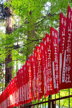 View of vibrant red flags adorned with white Japanese characters flutter in a row along a dark metal fence, set against a backdrop of lush green trees, Takayama, Gifu, Japan.