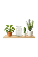 Wooden Shelf with Plants and Glass Jar Minimalist Home Decor High quality Realistic image.