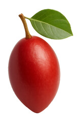 Ximenia isolated on transparent background