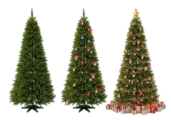 Fototapeta premium Three christmas trees of varying decoration levels, isolated on transparent background