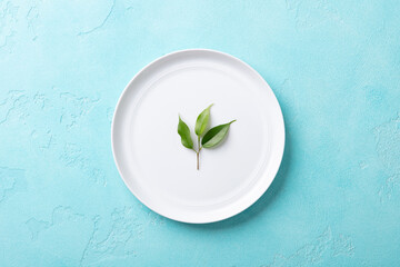 Minimalist food styling: fresh green leaves on a white plate, turquoise background. Top view.