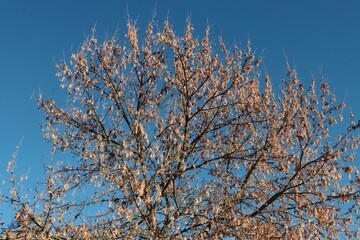 autumn in park