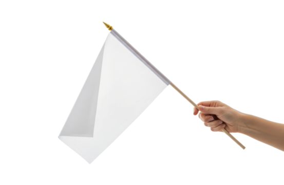 Hand holding a blank white flag on a wooden stick