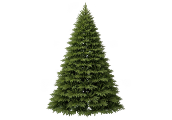 A tall, full, green christmas tree isolated on transparent background, perfect for holiday decorations and seasonal themes