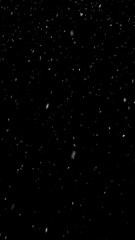 Realistic snow falls across the screen on black background, falling snowflake particle effects for christmas holiday celebration, overlay natural winter storm weather isolated backdrop illustration