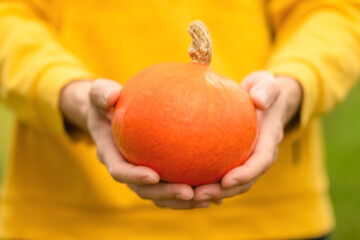 Close up of pumpkin held in male hands. Autumn harvest time, organic farming, fresh vegetable, healthy food, homegrown produce, seasonal agriculture, and natural lifestyle.