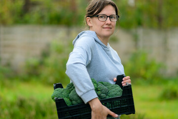 Girl farmer holding wooden box full of fresh broccoli. Seasonal harvest, organic farming, healthy vegetables, and nutritious food from homegrown produce.