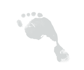 Isolated gray footprint on a white background in a studio setting