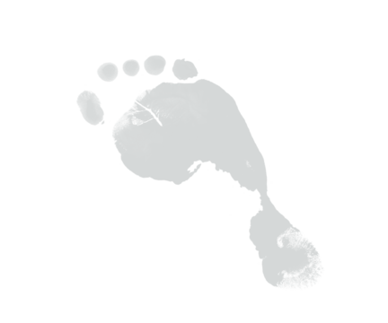 Isolated gray footprint on a white background in a studio setting