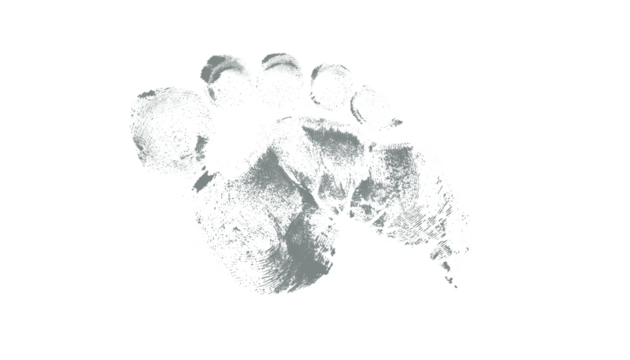 Single gray footprint impression on a plain white background view