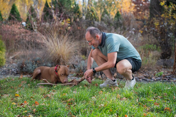dorosła osoba bawiąca się z psem rasy pitbul na spacerze w jesienny słoneczny dzień