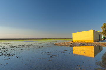 Bright yellow building in flooded rice paddies of Isla Mayor, Spain