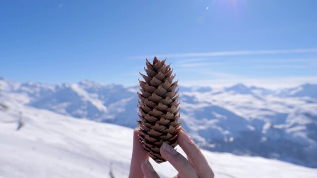 Feminine hand holding large pinecone with stunning panoramic view of snow mountain range on bright sunny day. Conveying sense of peace nature and winter adventure