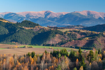 View of rolling, verdant hills contrasted against a clear sky, with scattered trees displaying autumnal hues, creating a captivating landscape, Povraznik, Banska Bystrica Region, Slovakia.