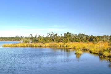 Late-Autumn landscape of a peaceful lake and grassy shoreline at Gulf State Park, near Gulf Shores Alabama.