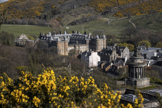 View of a grand building nestled among rolling hills and vibrant gorse bushes, with a monument standing tall against the skyline, Edinburgh, Scotland, United Kingdom.