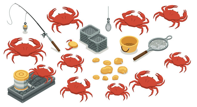 Isometric crab catching tools and red crabs on white background