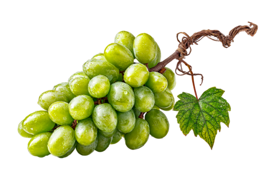 Fresh Green Grapes with Water Droplets and Stem on a transparent background, cut out - Powered by Adobe