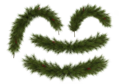 Collection of green fir branches with red berries, isolated on transparent background