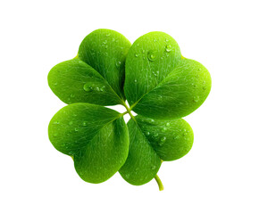 Four Leaf Clover with Water Droplets on a transparent background, cut out