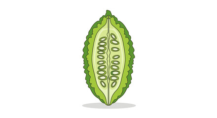 Bitter Melon: A Vibrant Botanical Illustration Depicting Freshly Sliced Vegetable