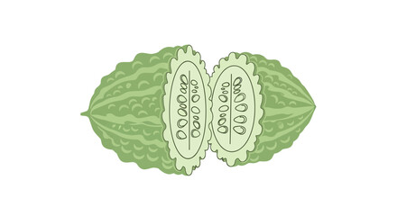 Bitter Melon Illustration Of Vegetable Cut in Half Isolated on White Background