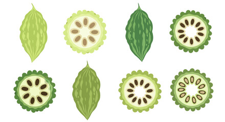 Bitter Melon Illustration Of Whole And Sliced Bitter Gourds Against A White Background