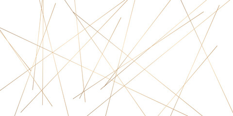 Obraz premium Abstract background with lines. Golden lines on White paper. Line wavy abstract vector technology line pattern background.