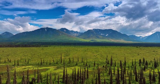Footage over the thin long pine trees growing in the beautiful valley. Approaching stunning mountains against cloudy sky at backdrop. Alaska, USA.