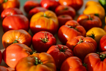 Ripe red tomatoes with green stems are displayed on a market stall, showcasing their vibrant colors and textures, inviting shoppers to select the perfect ingredients for their culinary creations