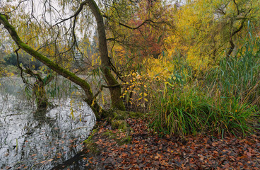 Im Park herbstlich bunt und romantisch mit Teich